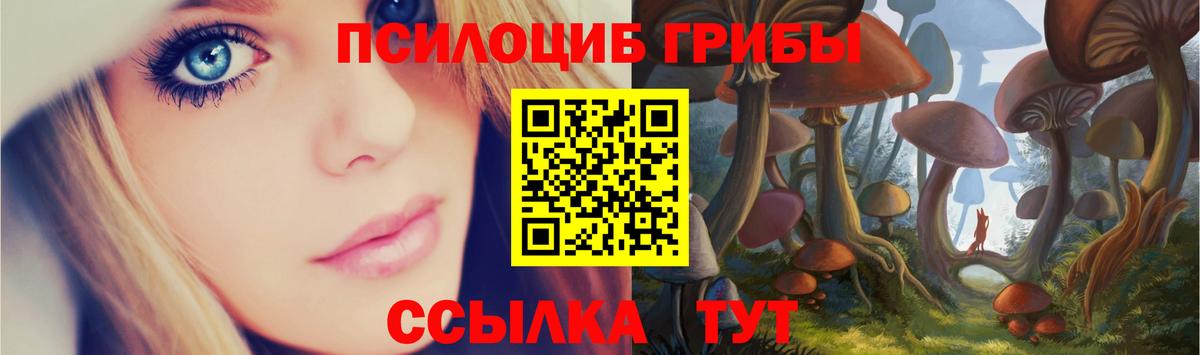 Галлюциногенные грибы Magic Shrooms  Вход с VPN  Псилоцибиновые грибы GOLDEN TEACHER  Луга 